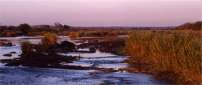 St. Lucia Wetlands 202x84